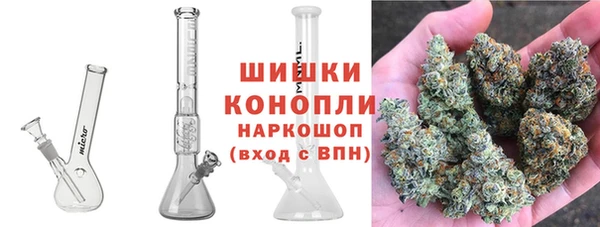 дживик Лабытнанги