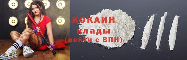 дживик Лабытнанги