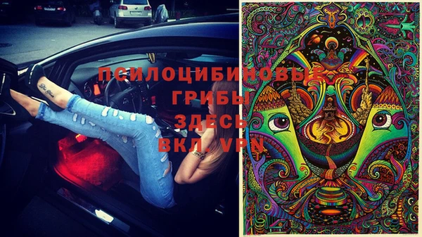 дживик Лабытнанги