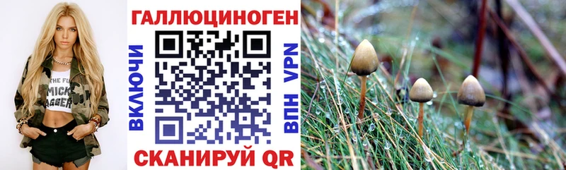 Псилоцибиновые грибы прущие грибы Арзамас